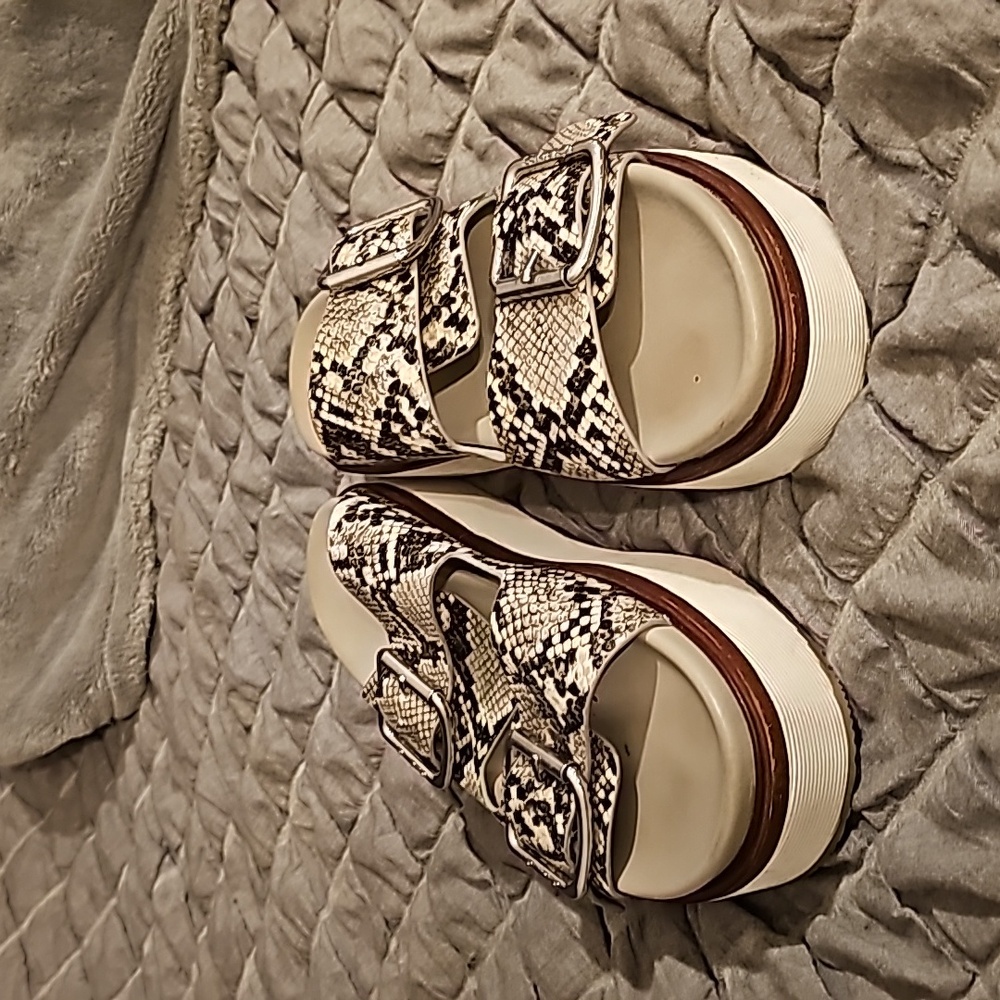 Snake Platform Slides - image 2